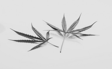 Лечение наркомании в Токмаке